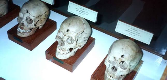 Department of Forensic Medicine and Toxicology